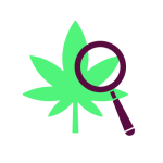 Cannabis Research